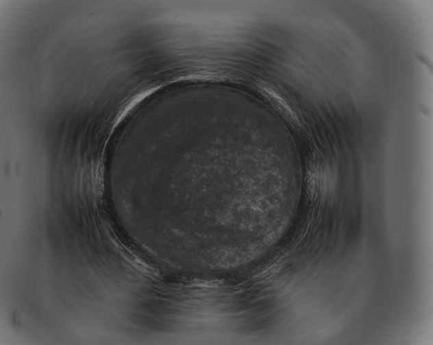 X0000092220484200710121200