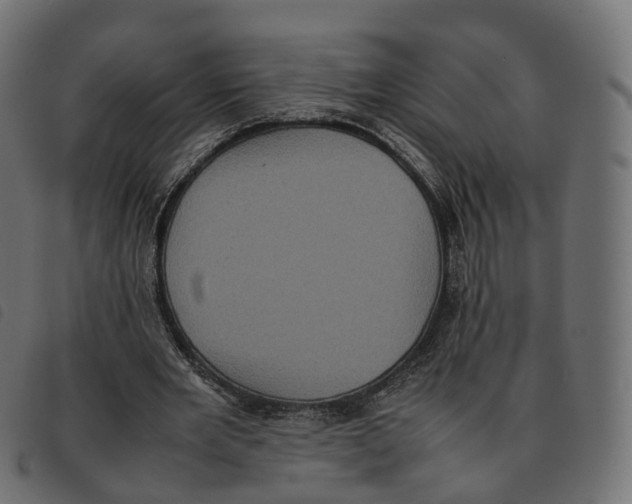 X0000092220485200710121200