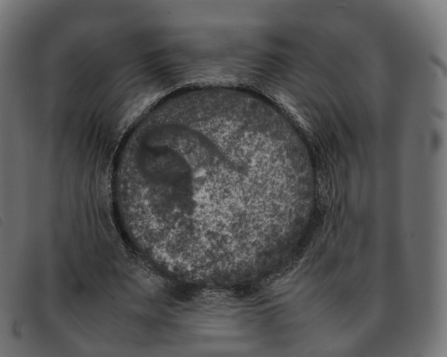 X0000092220487200710121200