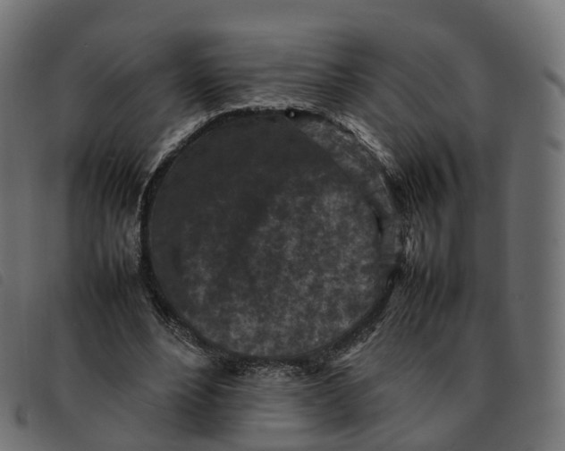 X0000092220488200710121200