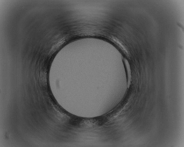 X0000092220489200710121200