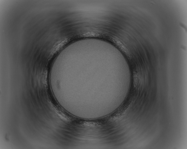 X0000092220490200710121200