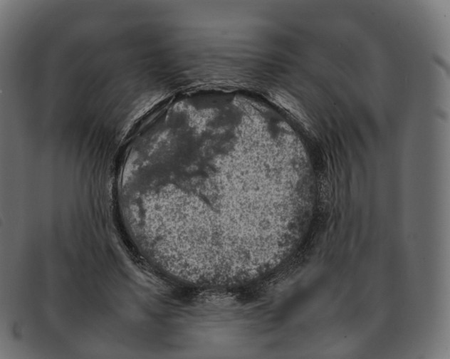 X0000092220491200710121200