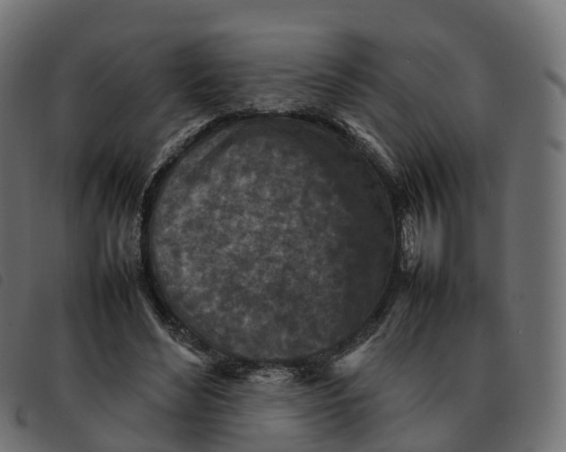 X0000092220492200710121200