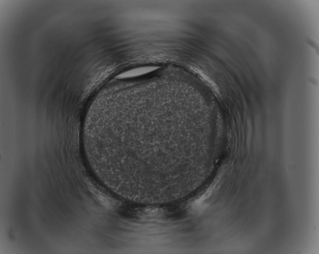 X0000092220493200710121200