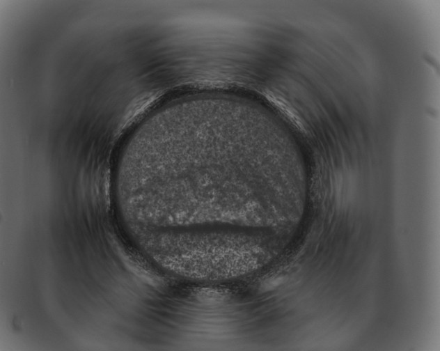 X0000092220494200710121200