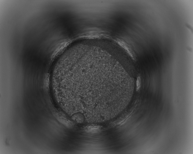 X0000092220495200710121200