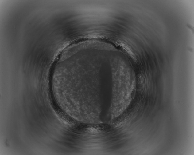 X0000092220496200710121200