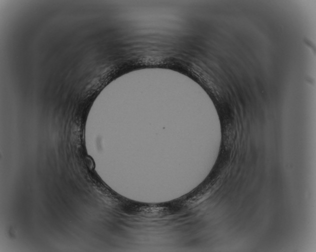 X0000092220497200710121200