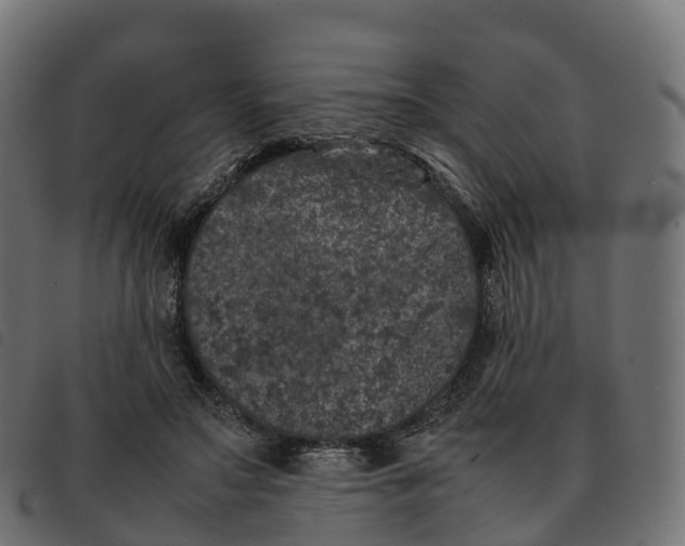 X0000092220499200710121200