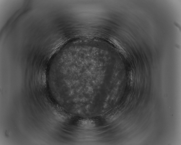 X0000092220500200710121200