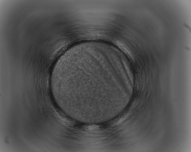 X0000092220501200710121200