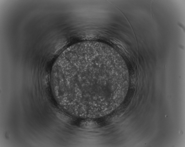 X0000092220503200710121200