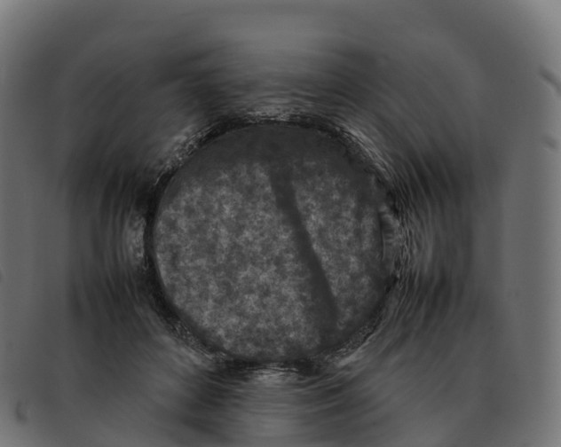 X0000092220504200710121200