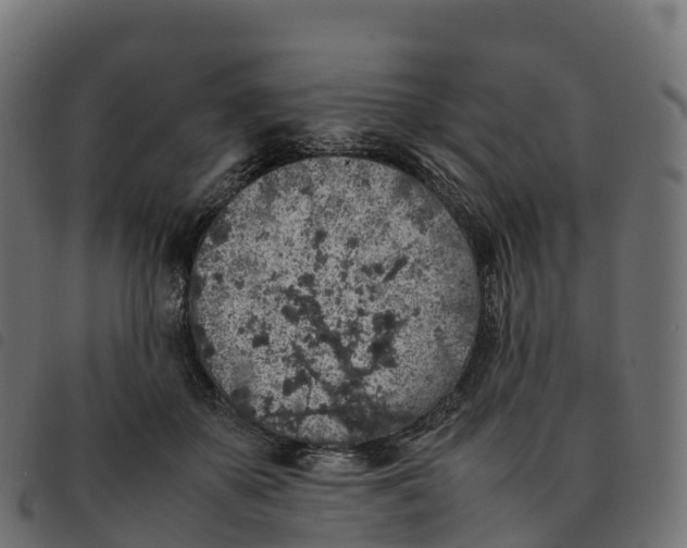 X0000092220507200710121200