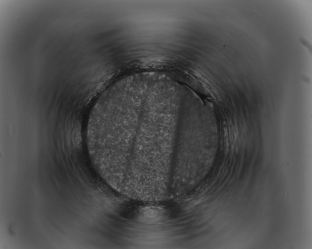 X0000092220508200710121200