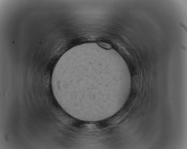 X0000092220509200710121200