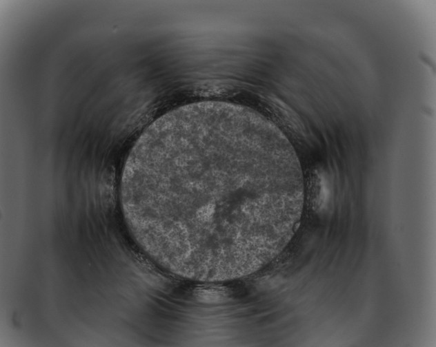 X0000092220510200710121159