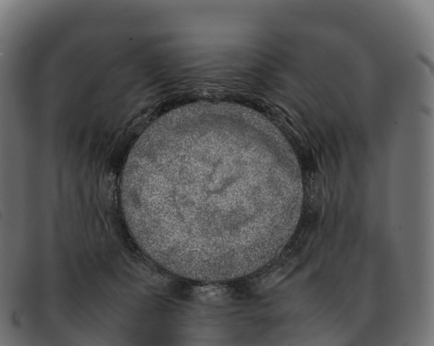 X0000092220511200710121159