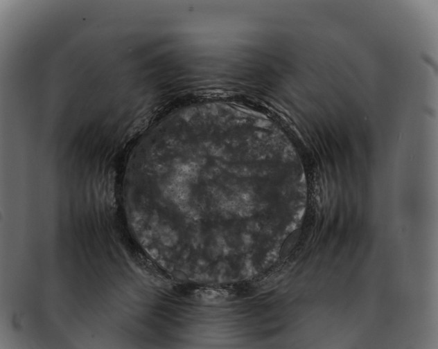 X0000092220512200710121159