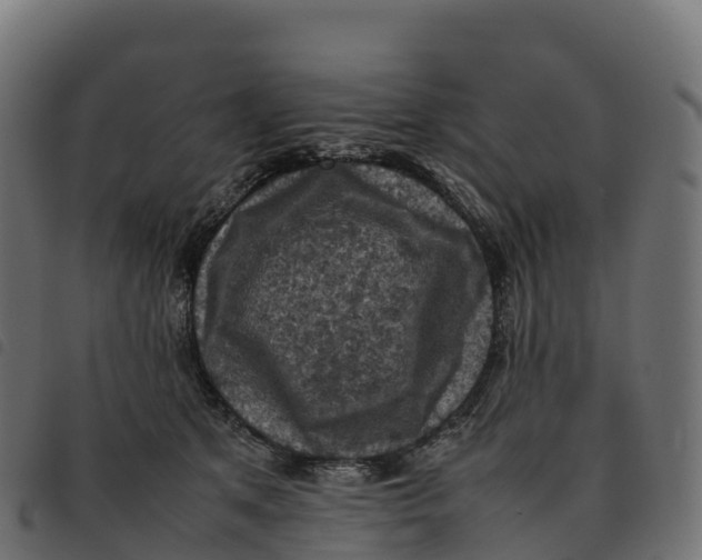 X0000092220513200710121159