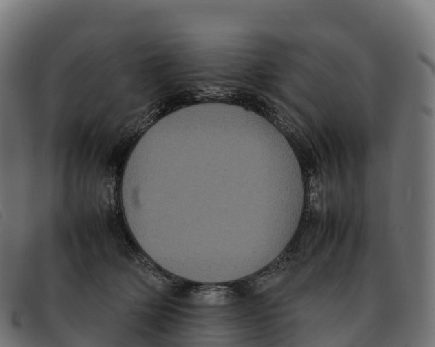 X0000092220514200710121159