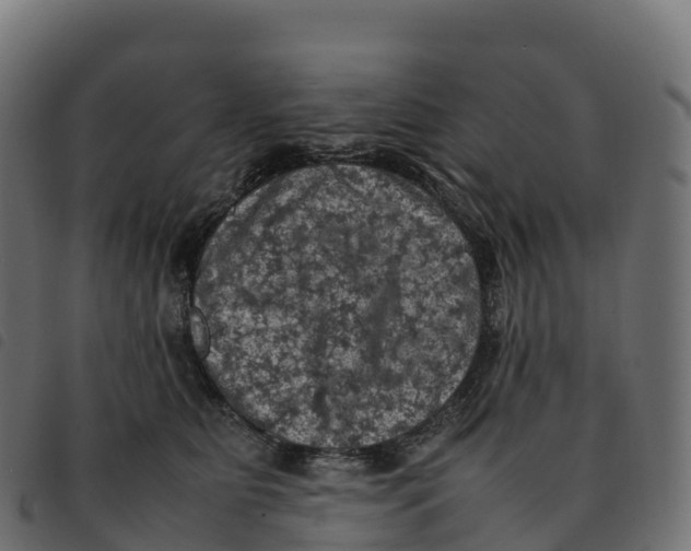 X0000092220515200710121159