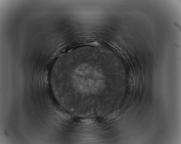 X0000092220516200710121159