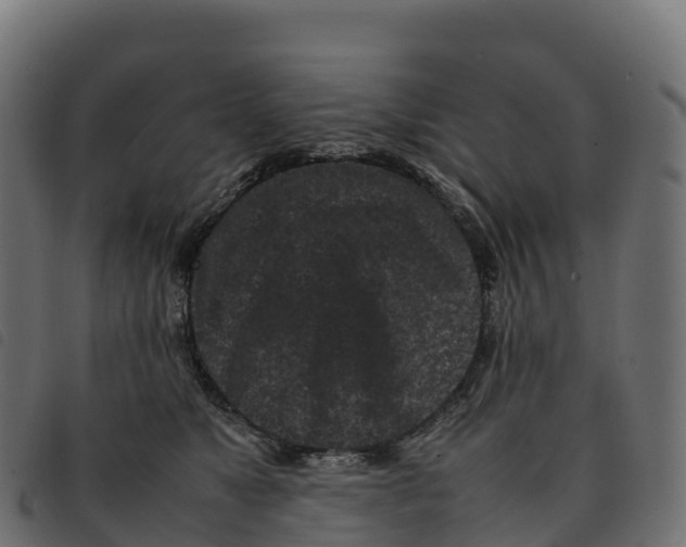 X0000092220517200710121159