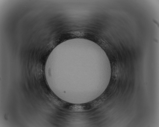 X0000092220518200710121159