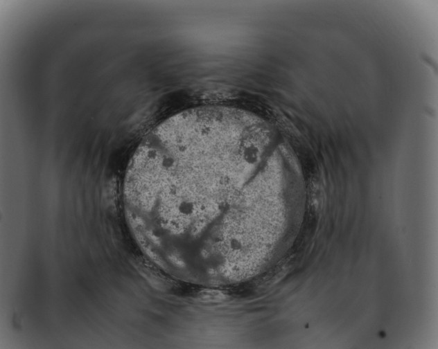 X0000092220519200710121159