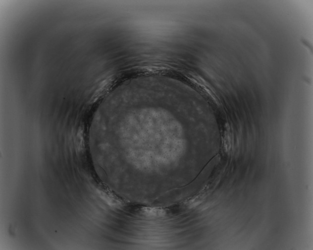 X0000092220520200710121159