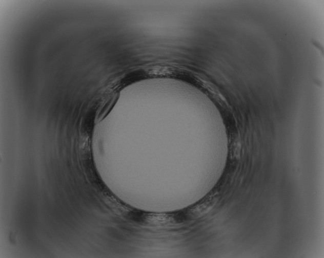 X0000092220521200710121159