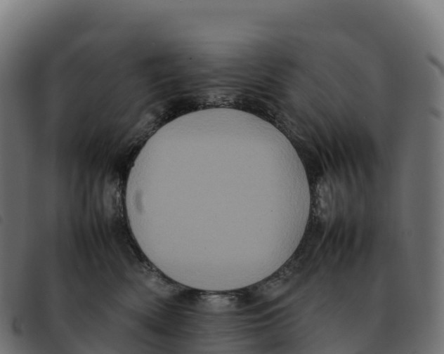 X0000092220522200710121159