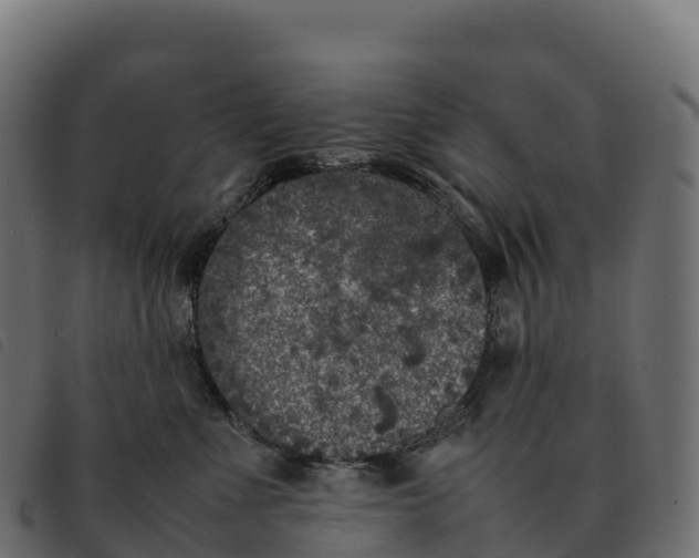 X0000092220523200710121159