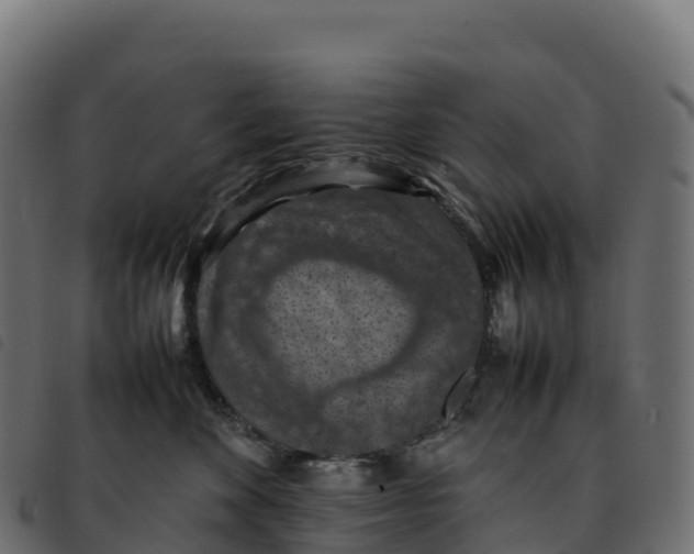 X0000092220524200710121159