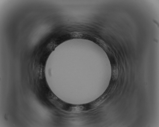 X0000092220525200710121159