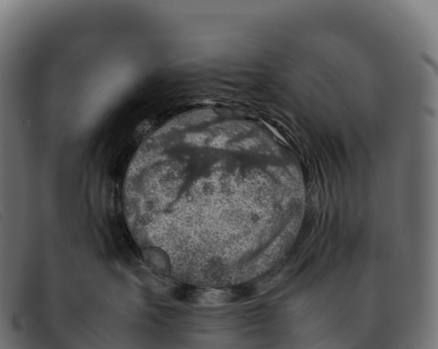 X0000092220527200710121159