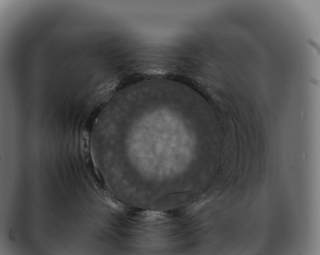 X0000092220528200710121159