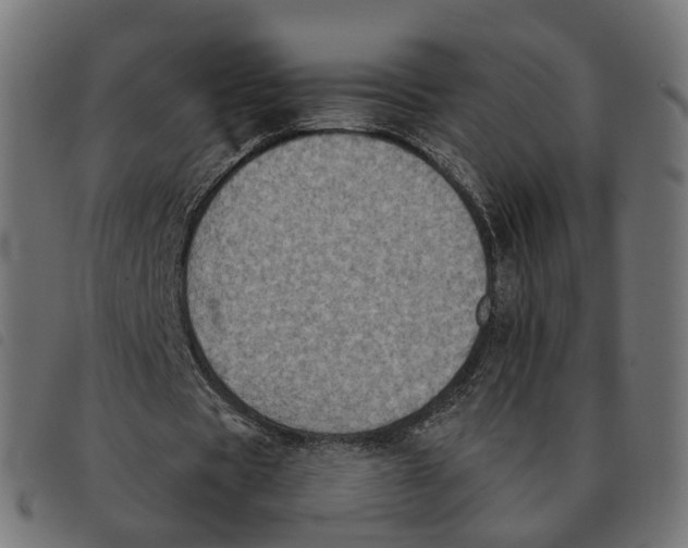 X0000092220529200710121159