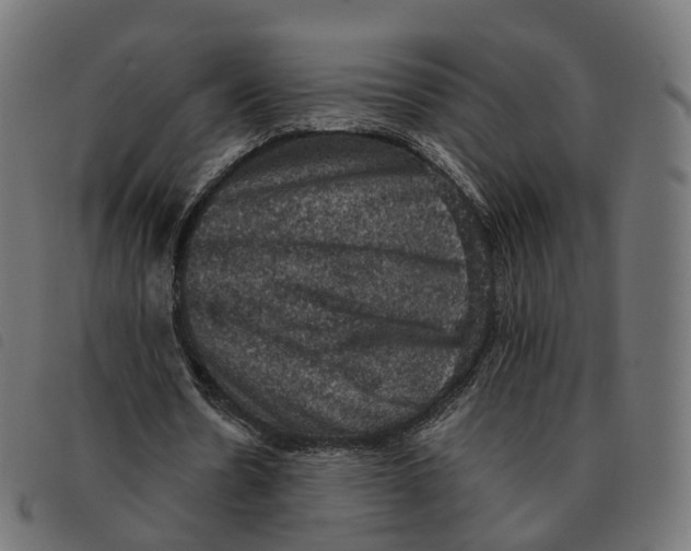 X0000092220530200710121159