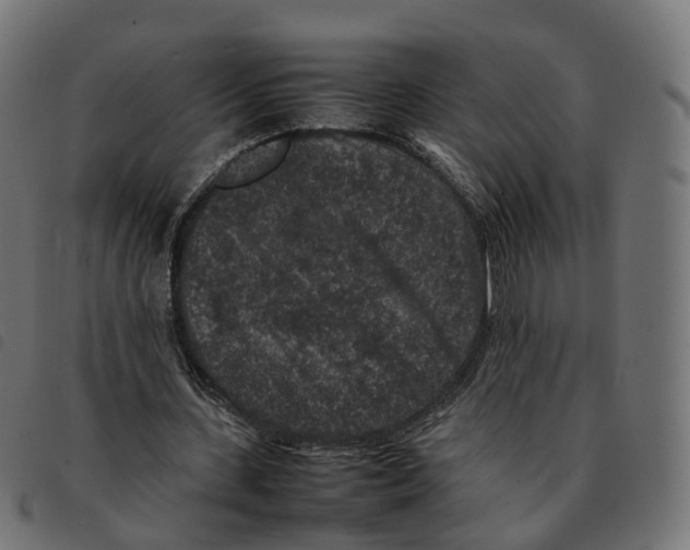 X0000092220531200710121159