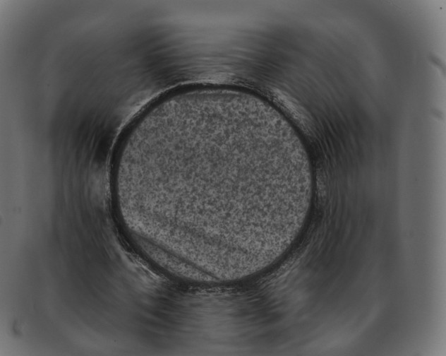 X0000092220532200710121159