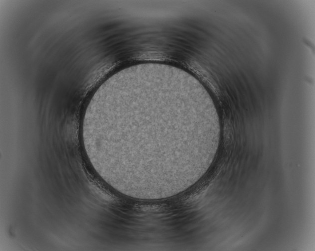 X0000092220533200710121159