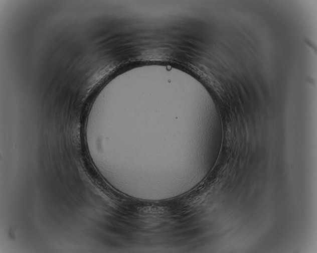 X0000092220535200710121159