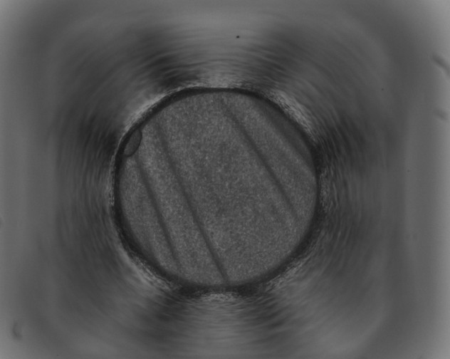 X0000092220536200710121159