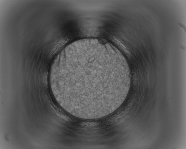 X0000092220537200710121159