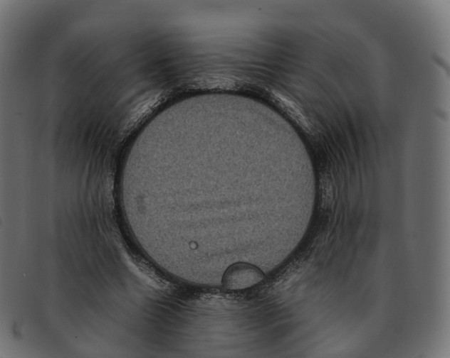 X0000092220538200710121159