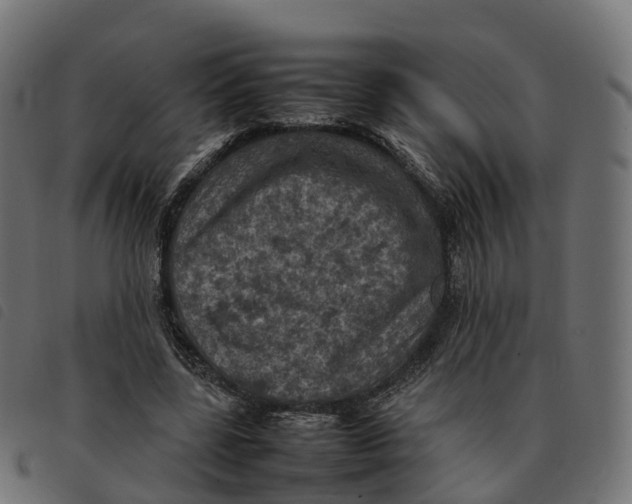 X0000092220539200710121159