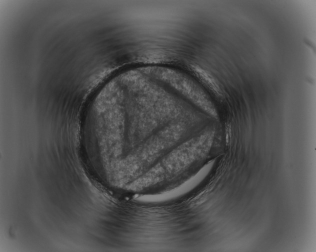 X0000092220540200710121159